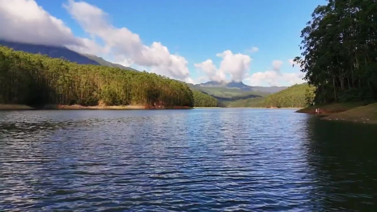 Forested lake, Munnar